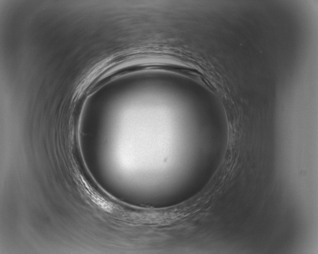 X0000086010005200703231224