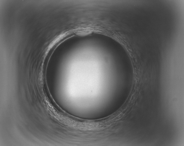X0000086010008200703231224