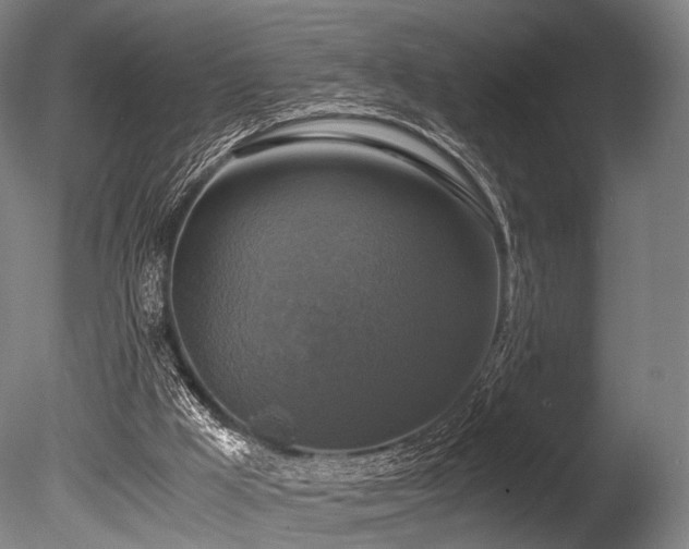 X0000086010009200703231224
