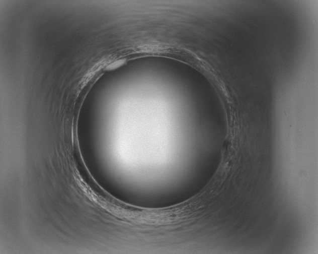 X0000086010011200703231224