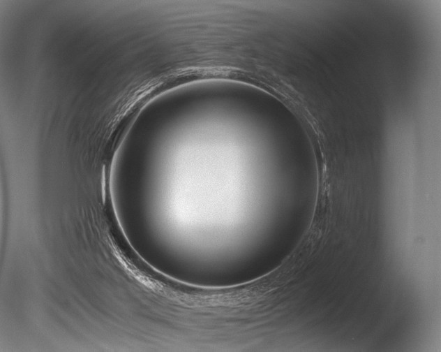 X0000086010013200703231224