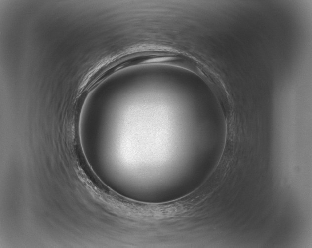 X0000086010015200703231224