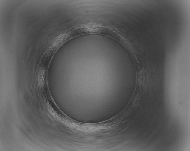 X0000086010018200703231224