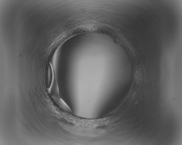 X0000086010023200703231224