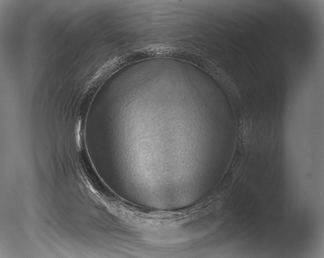 X0000086010024200703231224