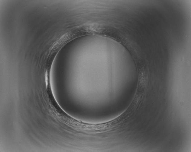 X0000086010027200703231224