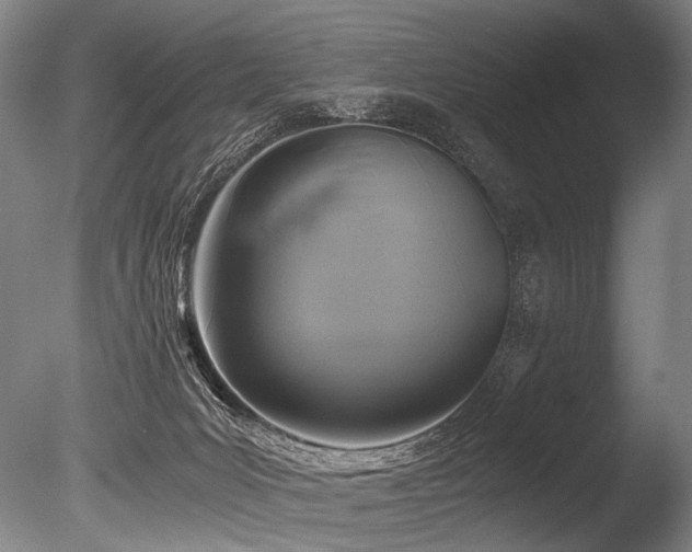 X0000086010031200703231224