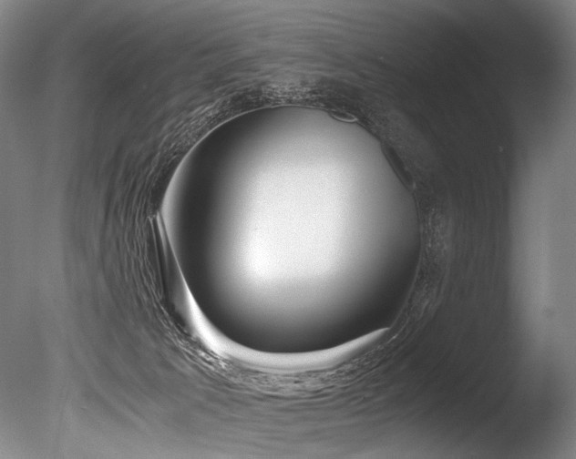X0000086010033200703231224