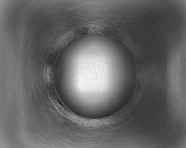 X0000086010038200703231223
