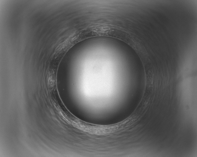 X0000086010040200703231223