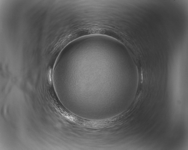 X0000086010041200703231223