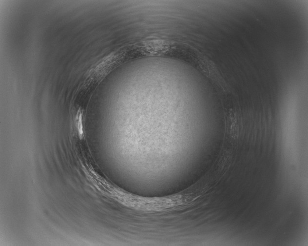 X0000086010042200703231223