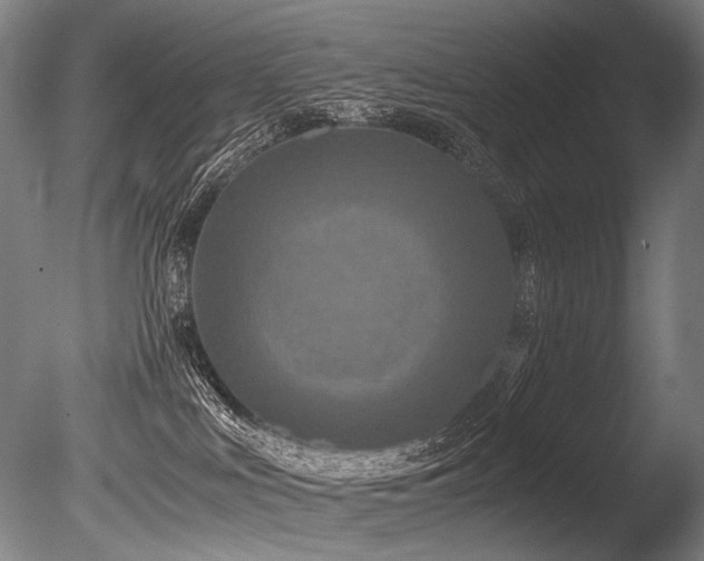 X0000086010043200703231223