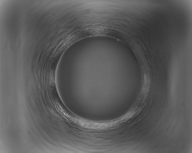 X0000086010048200703231223