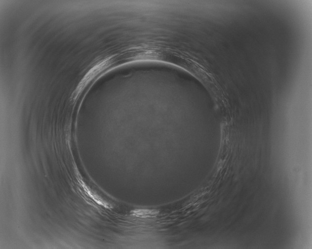 X0000086010051200703231222