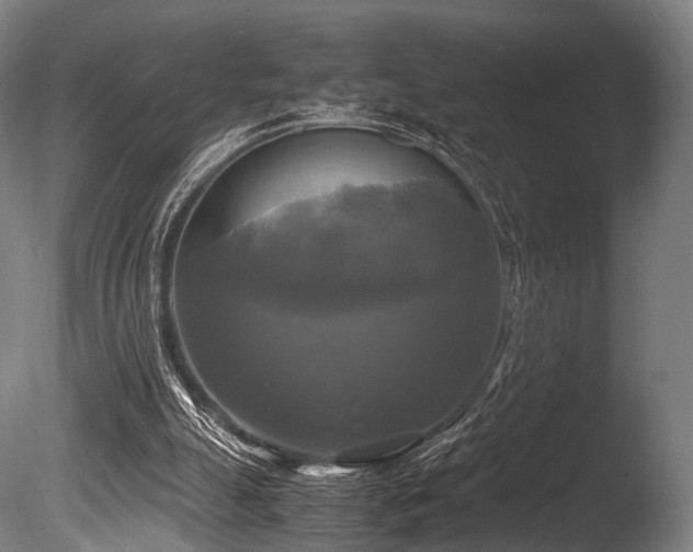 X0000086010055200703231223