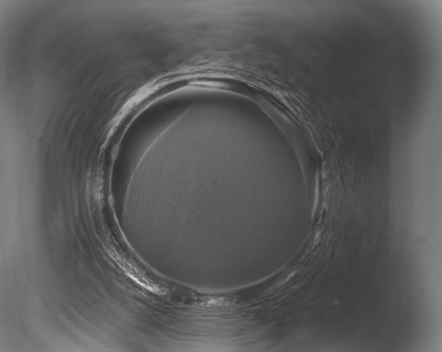 X0000086010056200703231223
