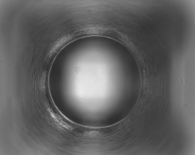 X0000086010058200703231223