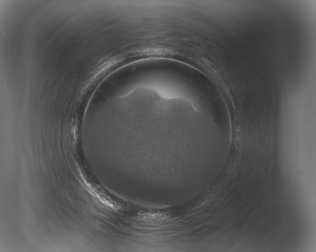 X0000086010063200703231223