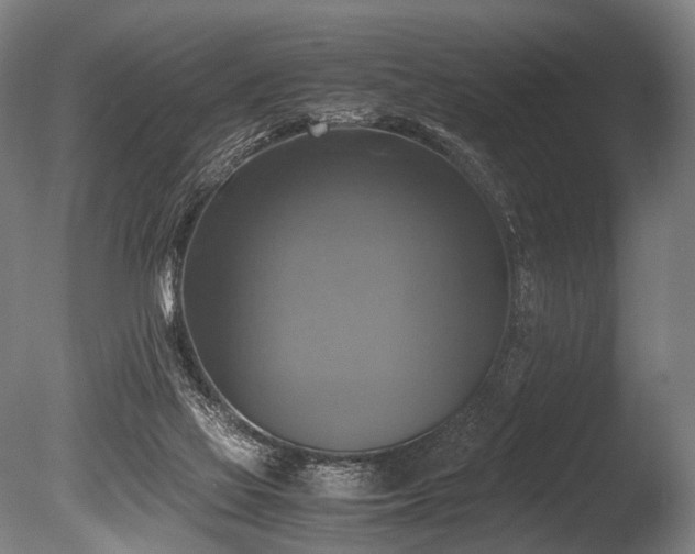 X0000086010069200703231223