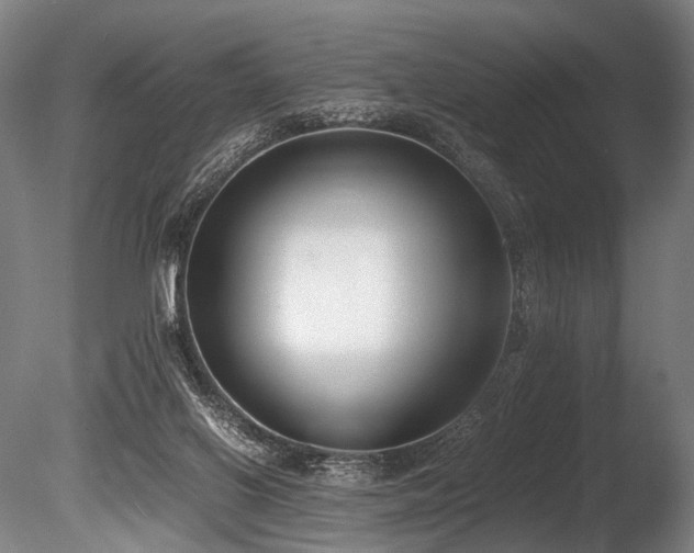 X0000086010070200703231223