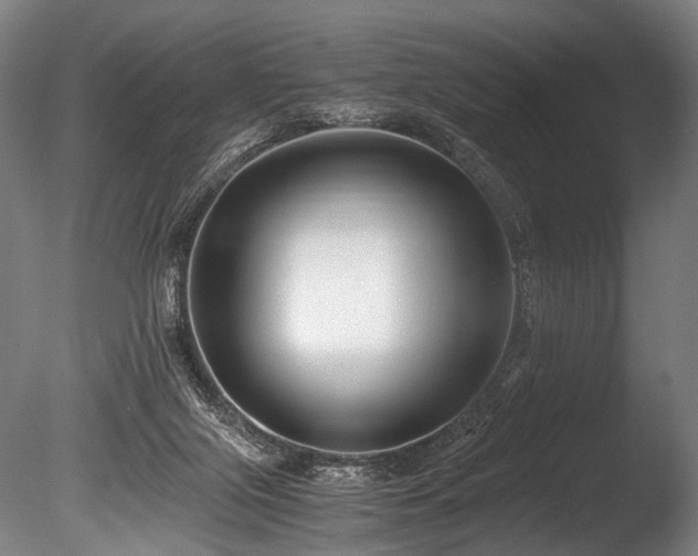 X0000086010071200703231223