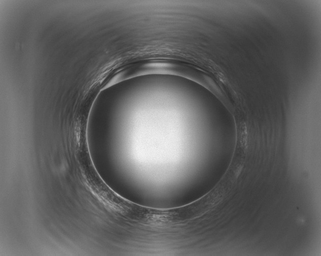 X0000086010072200703231223