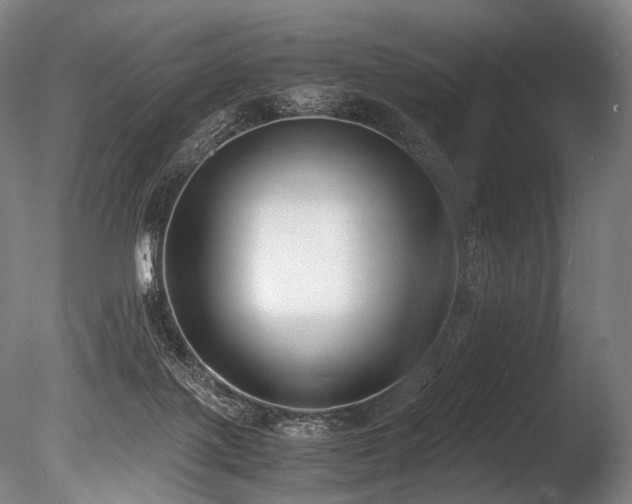 X0000086010075200703231223