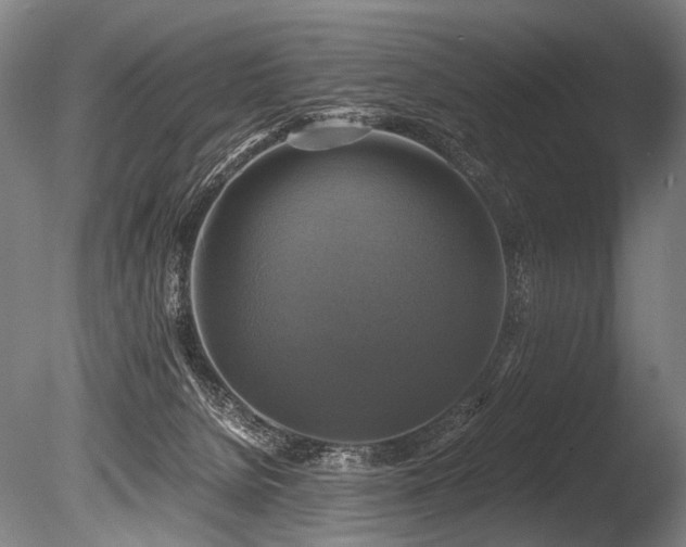 X0000086010080200703231223