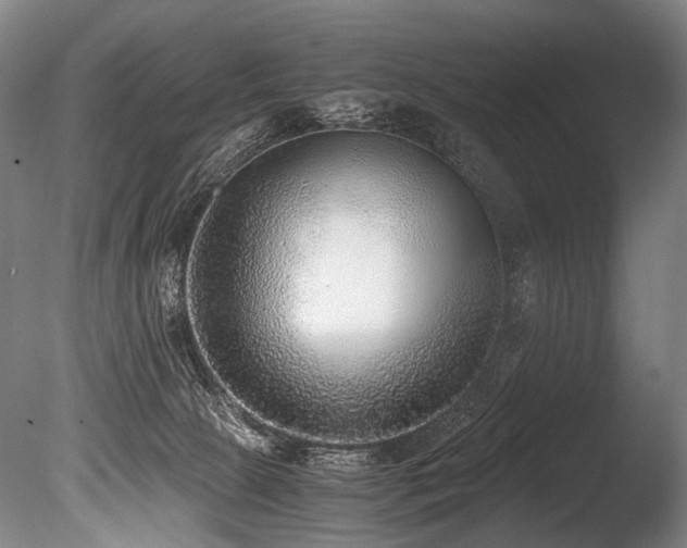 X0000086010081200703231223