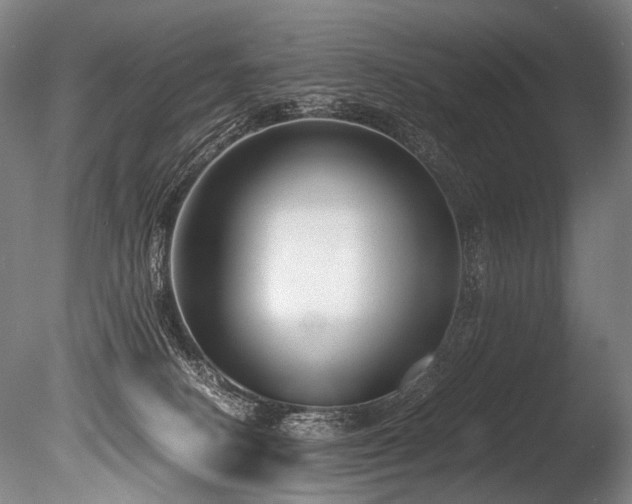 X0000086010082200703231223