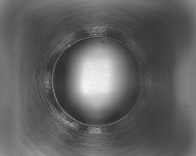 X0000086010083200703231223