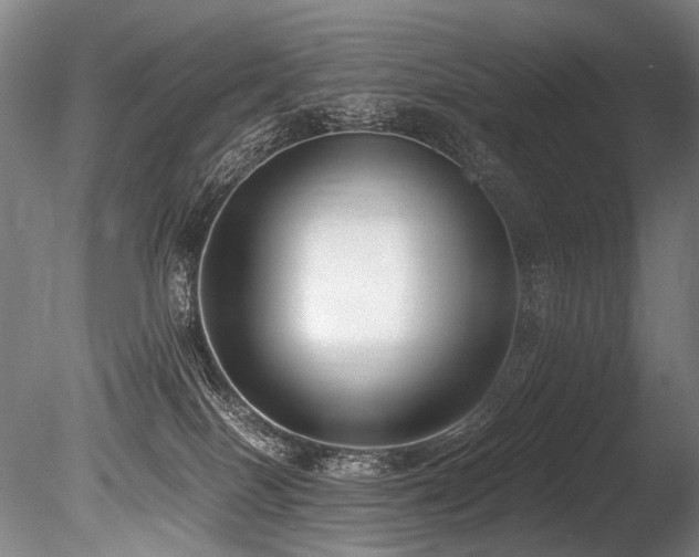 X0000086010086200703231223