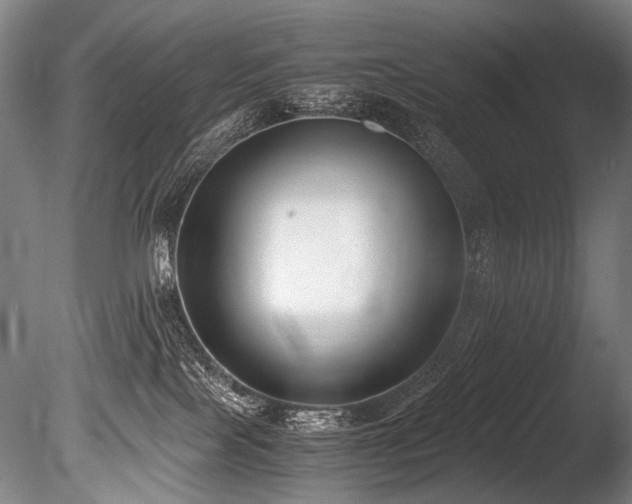 X0000086010089200703231223