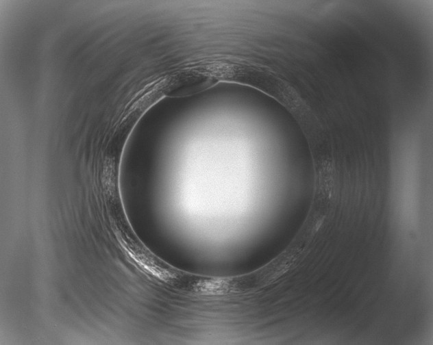 X0000086010092200703231223