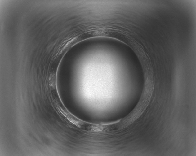 X0000086010096200703231223