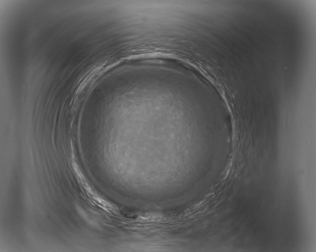 X0000086010097200703231222