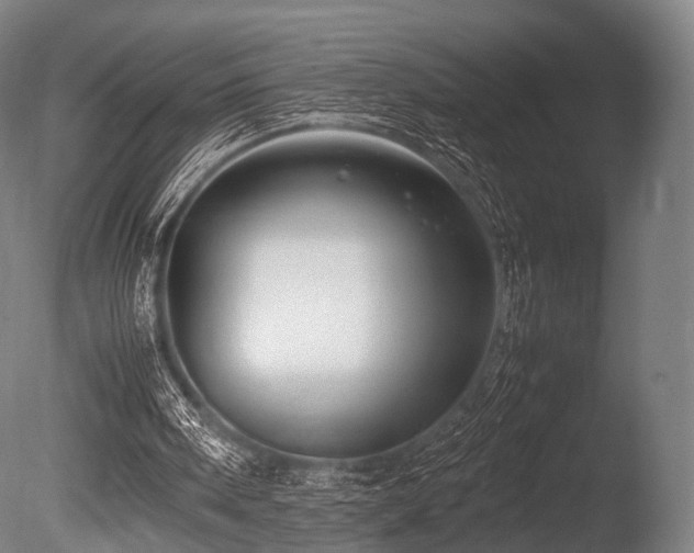 X0000086010098200703231222