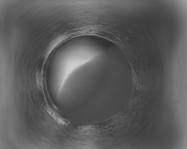 X0000086010100200703231222