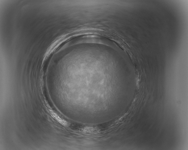 X0000086010101200703231222