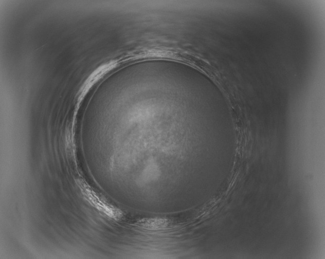 X0000086010104200703231222