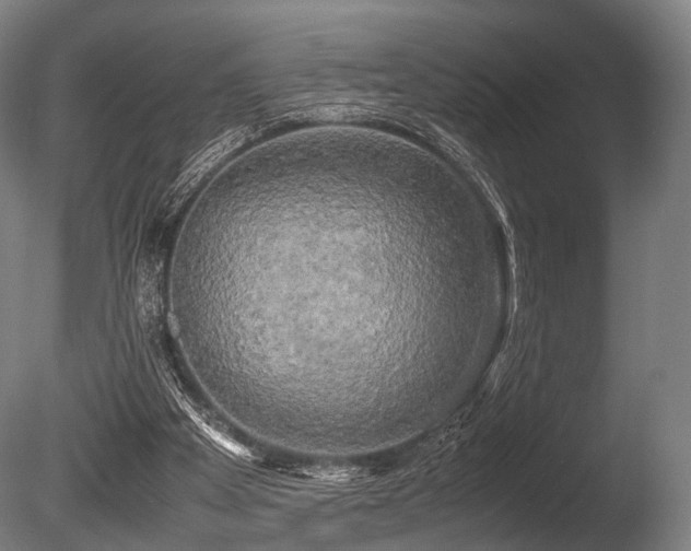 X0000086010105200703231222
