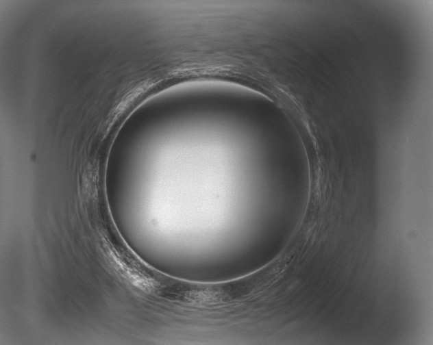 X0000086010107200703231222