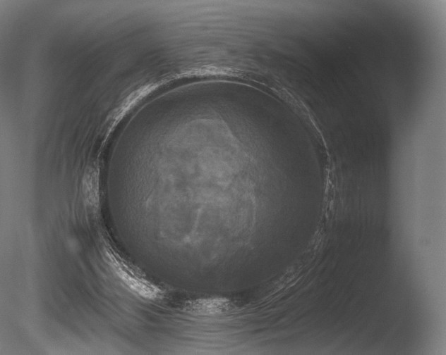 X0000086010108200703231222