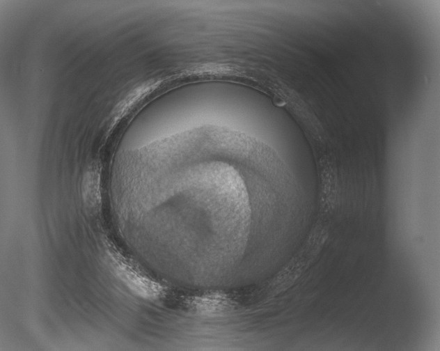 X0000086010112200703231222