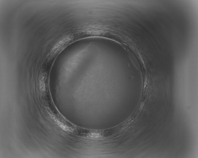 X0000086010114200703231222