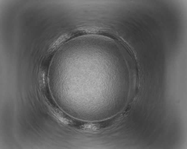 X0000086010117200703231222