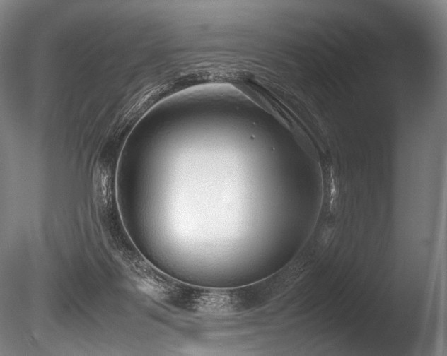 X0000086010123200703231222