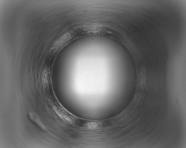 X0000086010126200703231222