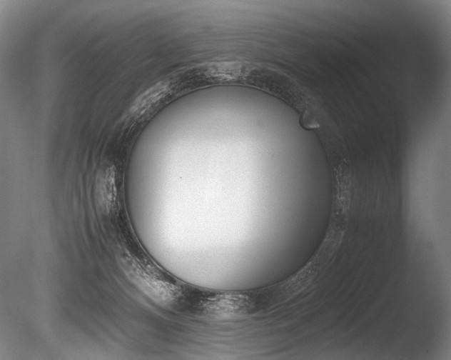 X0000086010128200703231222